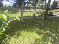 Ang Mo Kio Avenue 5 (D20), Terrace #495615831